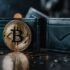 Crypto Bubbles vs. Traditional Financial Bubbles: What’s the Difference?