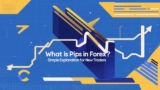 What is Pips in Forex? Simple Explanation for New Traders