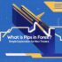 What is the Punishment for Forex Trading in India?