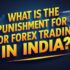 What is Pips in Forex? Simple Explanation for New Traders