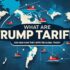 How to Buy Trump Coin Without Getting Scammed?